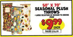 Ollie's 50 X 70 SEASONAL PLUSH THROWS offer