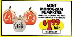 Ollie's MINI MONOGRAM PUMPKINS offer