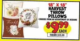 Ollie's 18 X 18 HARVEST THROW PILLOWS offer