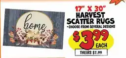 Ollie's 17 X 30 HARVEST SCATTER RUGS offer