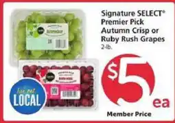 Safeway Signature SELECT Premier Pick Autumn Crisp or Ruby Rush Grapes offer