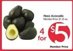 Safeway Hass Avocado offer
