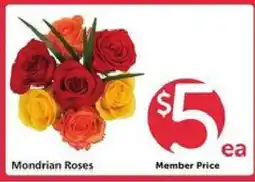 Safeway Mondrian Roses offer
