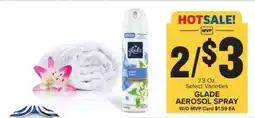 Food Lion Glade Aerosol Spray offer