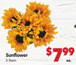 Vallarta Supermarkets Sunflower offer