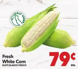 Vallarta Supermarkets Fresh White Corn / ELOTE BLANCO FRESCO offer