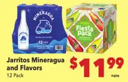 Vallarta Supermarkets Jarritos Mineragua and Flavors offer