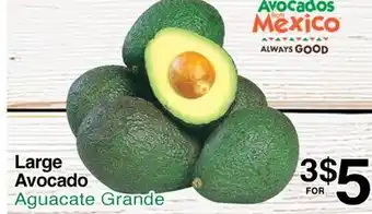 Superior Grocers Large Avocado offer