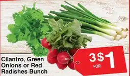 Superior Grocers Cilantro, Green Onions or Red Radishes Bunch offer