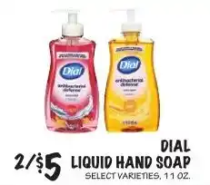 Foodarama Dial liquid hand soap offer