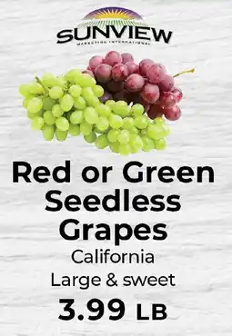 Sunset Foods Sunview marketing international red or green seedless grapes offer