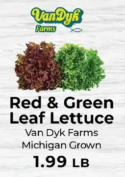 Sunset Foods Van Dyk Farms Red & Green Leaf Lettuce offer