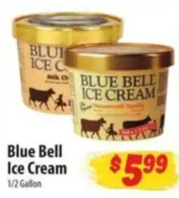 Food Giant Blue Bell Ice Cream offer