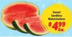 Food Giant Sweet Seedless Watermelons offer