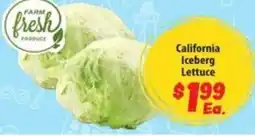 Food Giant Farm Fresh Produce California Iceberg Lettuce offer
