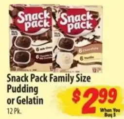 Food Giant Snack Pack Family Size Pudding or Gelatin offer