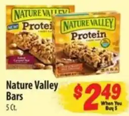 Food Giant Nature Valley Bars offer