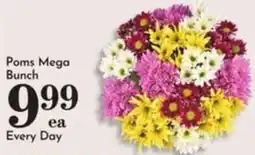 Pavilions Poms Mega Bunch offer