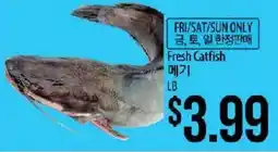 Hmart Fresh Catfish offer