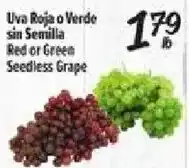 El Super Red or Green Seedless Grape offer