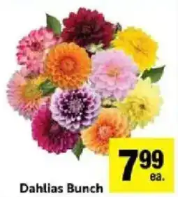 Lucky Supermarkets Dahlias Bunch offer