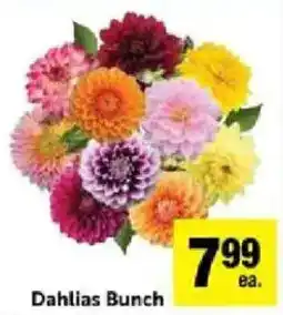 Save Mart Dahlias Bunch offer