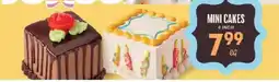 Lowes Foods Mini Cakes offer