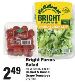 Big Y Bright Farms Salad offer