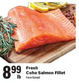 Big Y Fresh Coho Salmon Fillet offer