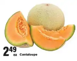 Big Y Cantaloupe offer