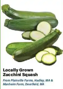 Big Y Locally Grown Zucchini Squash offer