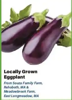 Big Y Locally Grown Eggplant offer