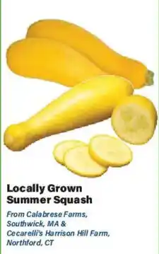 Big Y Locally Grown Summer Squash offer