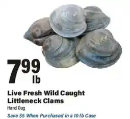 Big Y Live Fresh Wild Caught Littleneck Clams offer