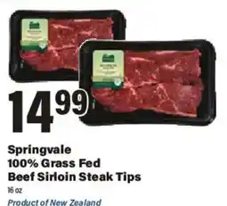 Big Y Springvale 100% Grass Fed Beef Sirloin Steak Tips offer
