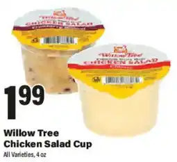 Big Y Willow Tree Chicken Salad Cup offer