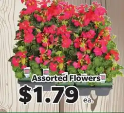 Living Fresh Market Assorted Flowers offer