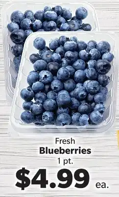 Living Fresh Market Fresh Blueberries offer