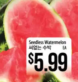Hmart Seedless Watermelon offer
