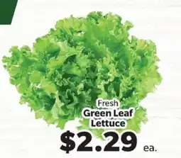 Living Fresh Market Fresh Green Leaf Lettuce offer