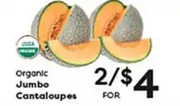 Rich's Fresh Market Organic Jumbo Cantaloupes offer
