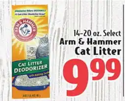 Eurofresh Market Arm & Hammer Cat Litter offer