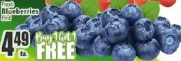 Key Food Fresh Blueberries Pint offer
