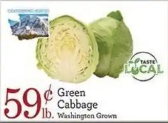 Green Cabbage