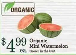 Yoke's Fresh Market Organic Mini Watermelon offer