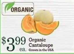 Yoke's Fresh Market Organic Cantaloupe offer