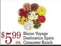 Yoke's Fresh Market Bloom Voyage Destination Spain Consumer Bunch offer