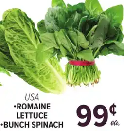 Cermak Fresh Market USA • ROMAINE LETTUCE • BUNCH SPINACH offer