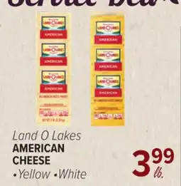 Cermak Fresh Market Land O Lakes AMERICAN CHEESE offer