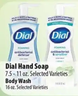 Times Supermarkets Dial hand soap offer